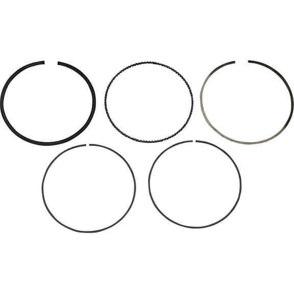 Athena 95.5mm Piston Ring Set (S41316030)