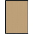 thumbnail image 1 of Linon Athena Sisal & Black 4x6 Area Rug, 1 of 5