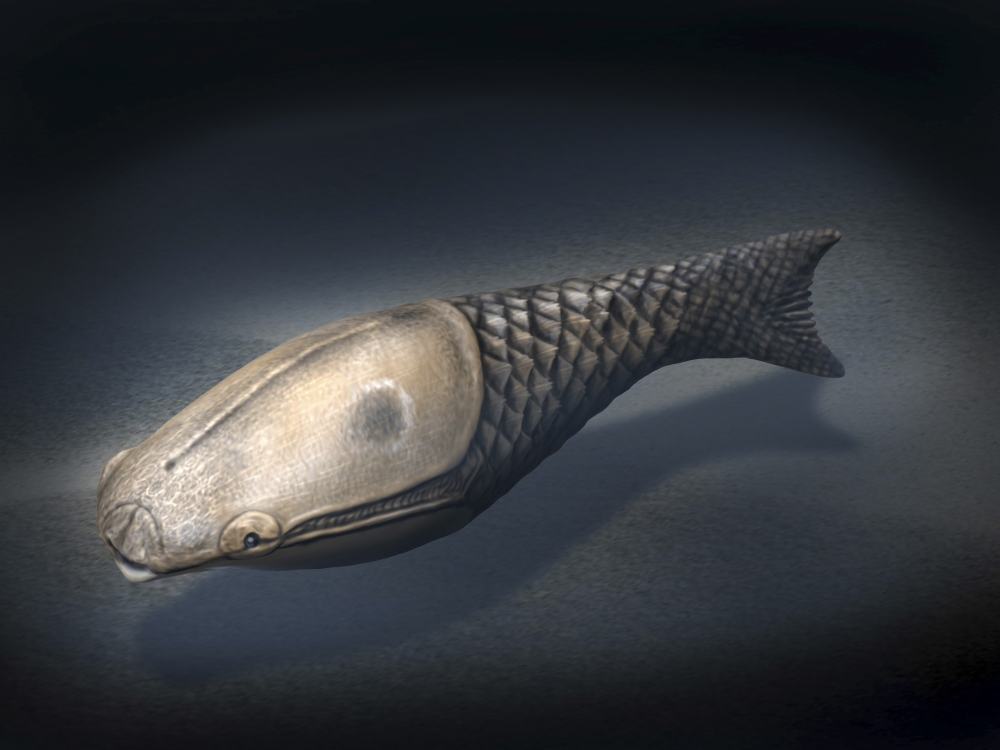 Athenaegis is an armored fish from the Paleozoic Era Canvas Art - Nobumichi TamuraStocktrek Images (33 x 25)