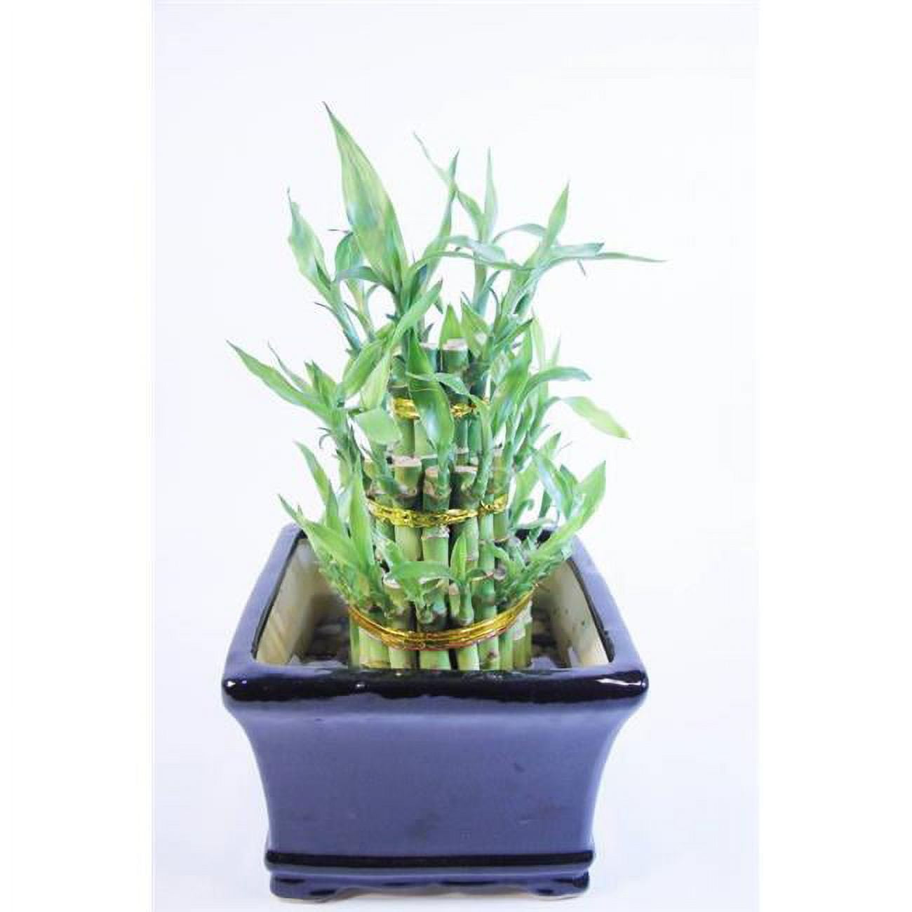 Athena's Polished Ceramic Pagoda Bamboo Tower Set