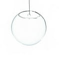 thumbnail image 1 of Athenas Garden HCH1107 7 in. Dia. Clear Half-Round Wall Hanging Terrarium & Vase, 1 of 1