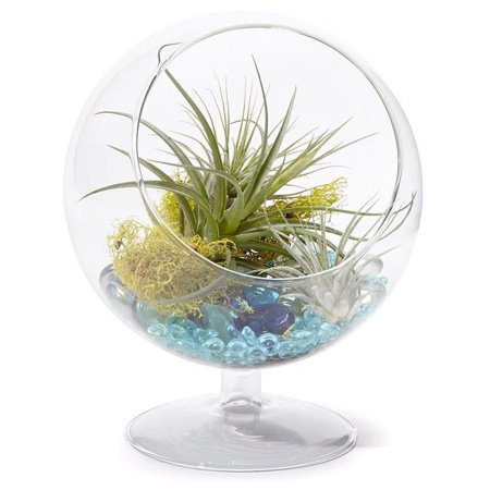 Athenas Garden LO-VCH4006-1APM-2APS-AR-L-R 6 in. Slant Cut Pedestal Bowl Arrangement