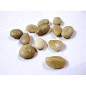 Athenas Garden PR-XL-Y 1.2-2 in. Extra Large Polished Stone Bag, 2 lbs - Yellow