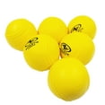 thumbnail image 1 of Athletic Works 9 in. Practice Foam Baseballs with Carrying Bag, Yellow, 6 pack, 1.5 oz, 1 of 7
