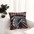 Falcons Four Seasons Universal Decorative Plush Pillow Cover, Square