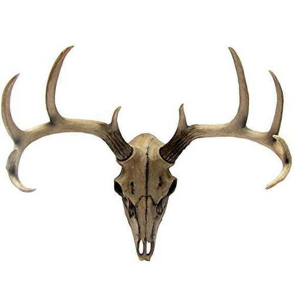 Atlantic Collectibles 10 Point Buck Head Skull Wall Mounted Hanging Plaque Figurine 18.5"L
