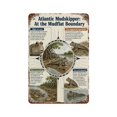 Atlantic Mudskipper Shoreline Posture Reference Poster Wall Print_001 ...