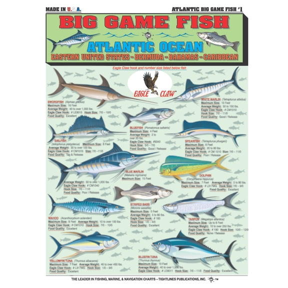 Atlantic Ocean Big Game Fish Identification #1 (Eastern United States, Bermuda, Bahamas, Caribbean) - Waterproof Quick Reference Guide | Portable & Built to Last | Double-Sided & Easy to Read