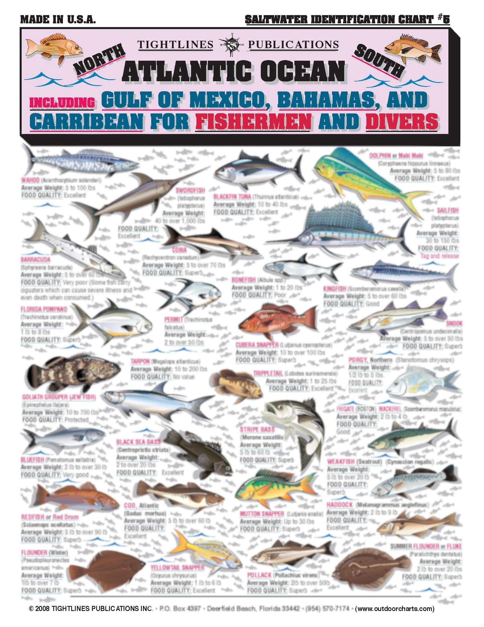 Saltwater Fish Identification Guide, 50+ Fish Species, Waterproof ...