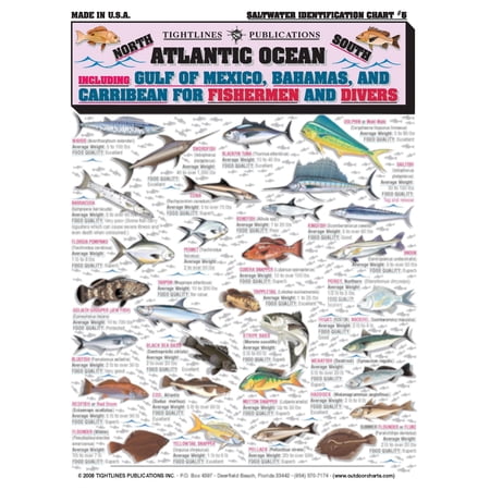 Saltwater Fish Identification #5- Waterproof Quick Reference Fishing Guide - 50+ Fish Species ID - (Florida, Atlantic, Gulf of Mexico, and Caribbean) - Great Gift for Beginners