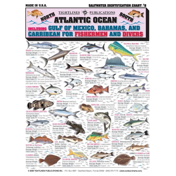 Saltwater Fish Identification #5- Waterproof Quick Reference Fishing Guide - 50+ Fish Species ID - (Florida, Atlantic, Gulf of Mexico, and Caribbean) - Great Gift for Beginners