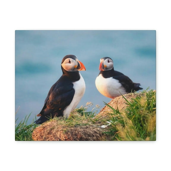 Atlantic Puffin Couple Atlantic Puffin Troop Print Animal Wall Art Wildlife Canvas Prints Wall Art Ready to Hang Unframed