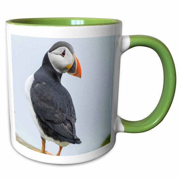 3drose, Atlantic Puffin in a Puffinry on Mykines, Faroe Islands, Denmark, 11oz Two-tone Green Mug