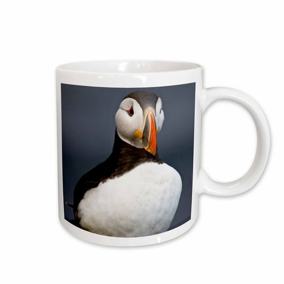 3drose, Atlantic Puffin, Latrabjerg Peninsula, Iceland - Eu14 Rbe0042 - Ralph H. Bendjebar, 11oz Mug