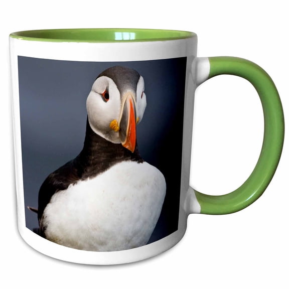 3drose, Atlantic Puffin, Latrabjerg Peninsula, Iceland - Eu14 Rbe0042 - Ralph H. Bendjebar, 11oz Two-tone Green Mug