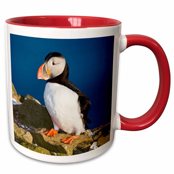 3drose, Atlantic Puffin, Latrabjerg Peninsula, Iceland - Eu14 Rbe0121 - Ralph H. Bendjebar, 11oz Two-tone Red Mug