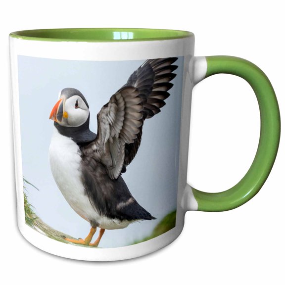 3drose, Atlantic Puffin Stretches, Mykines, Faroe Islands, Denmark, 11oz Two-tone Green Mug