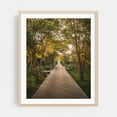 thumbnail image 1 of Atlantic Walk - Fire Island New York Photography Nature Boardwalk Forest Landscape Autumn Oak Framed Wall Art Print 9 x 12 inches, 1 of 12