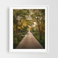 thumbnail image 1 of Atlantic Walk - Fire Island New York Photography Nature Boardwalk Forest Landscape Autumn White Framed Wall Art Print 18 x 24 inches, 1 of 3