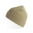 thumbnail image 1 of Atlantis Headwear Sustainable Finish Edge Cuffed Beanie, 1 of 3