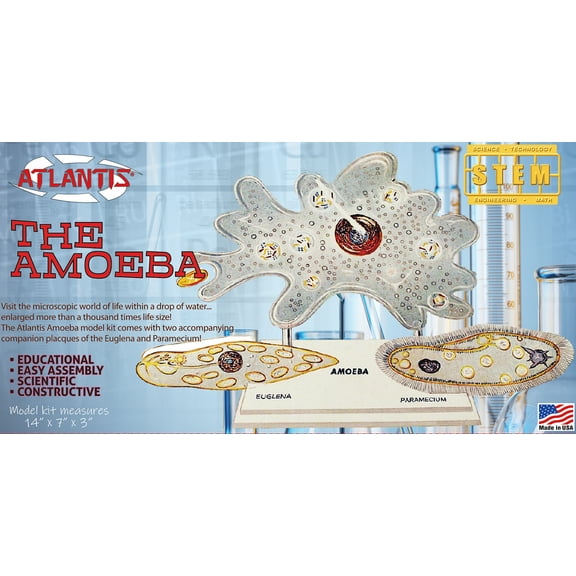 Atlantis - STEM Model Kit - The Amazing Amoeba