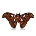 thumbnail image 1 of Atlas Moth Hard Enamel Pin | Clayton Jewelry Labs, 1 of 5