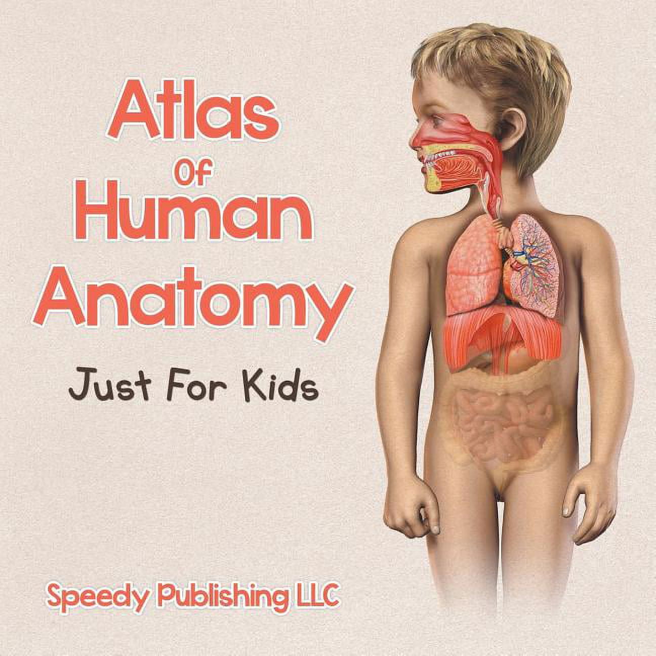 Atlas Of Human Anatomy Just For Kids (Paperback) - Walmart.com, image size:1296x1296