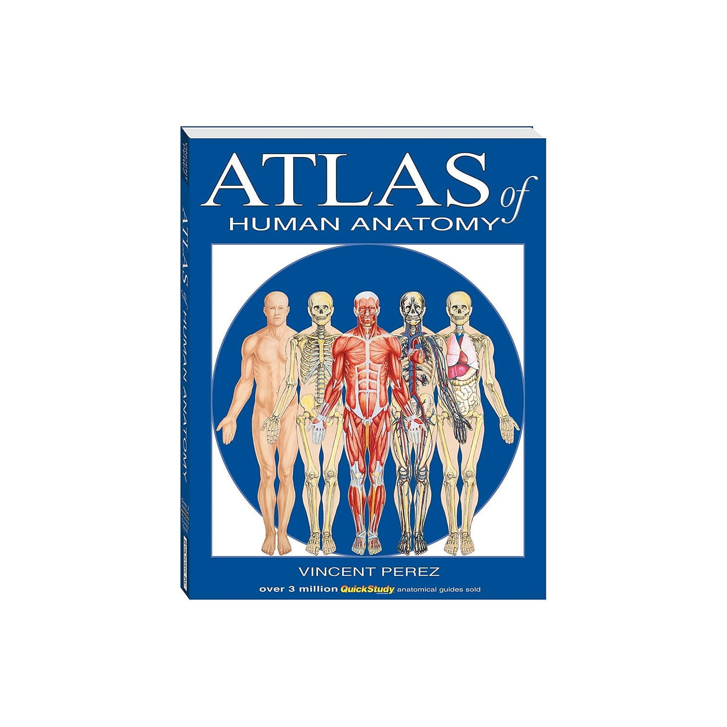 健康・医学 ATLAS OF HUMAN ANATOMY 6th EDITION Atlas of Human Anatomy, 6th Edition