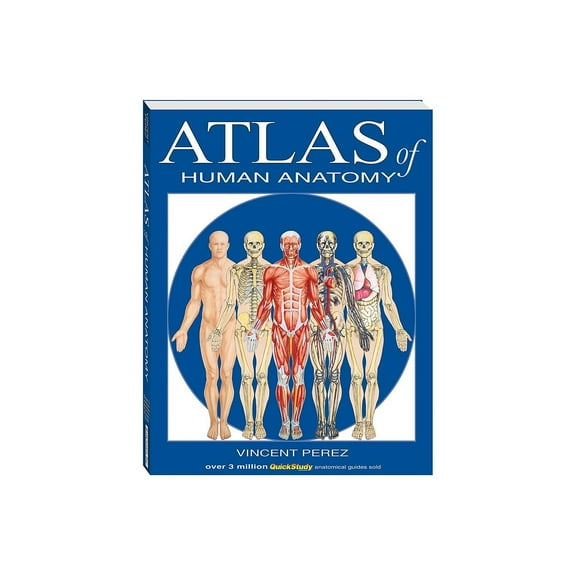 Atlas Of Human Anatomy (Quickstudy Books)