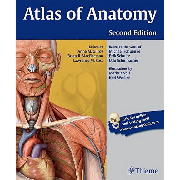 Pre-Owned Atlas of Anatomy (Edition 2) (Paperback)