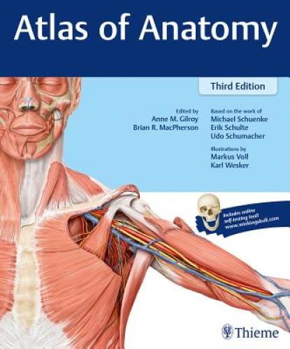 Pre-Owned Atlas of Anatomy, (Paperback)