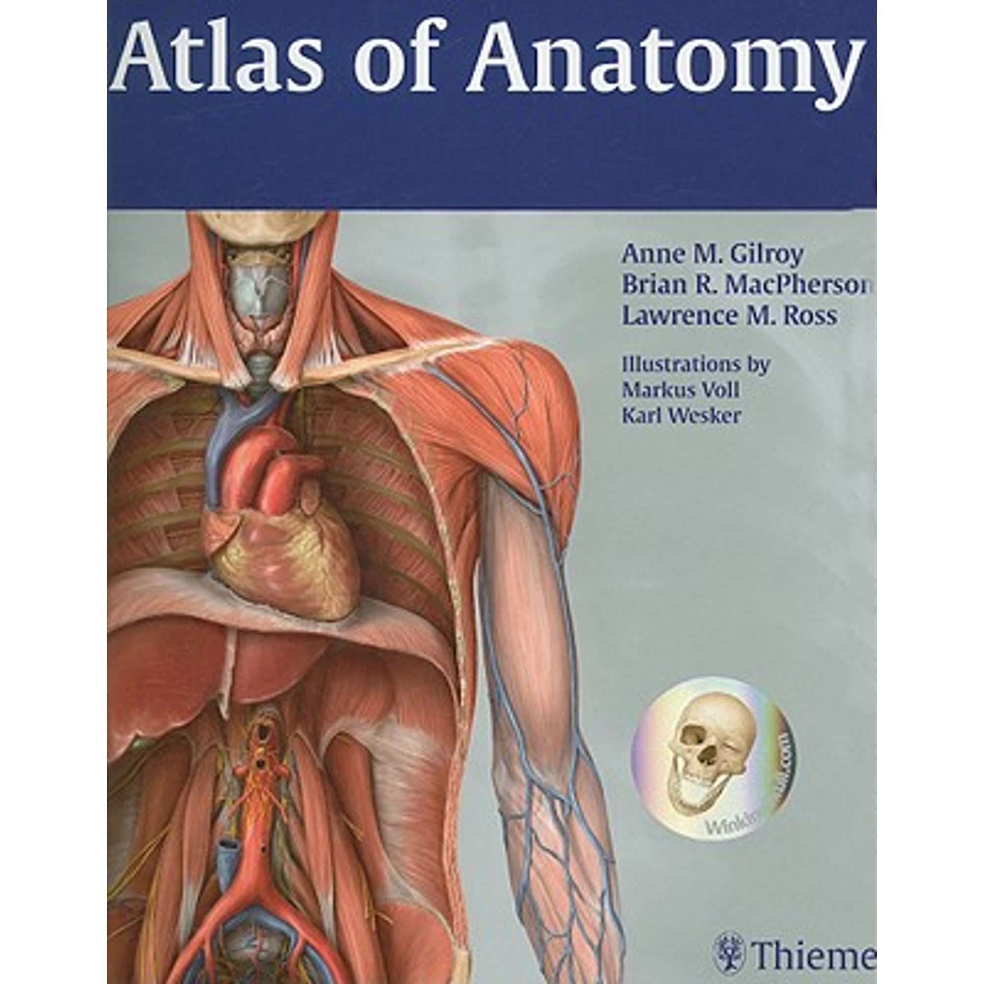 健康・医学 THIEME-Atlas-of-Anatomy THIEME Atlas of Anatomy, Three Volume Set, Fourth Edition