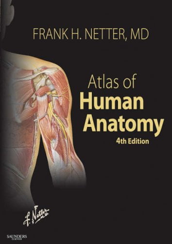 Pre-Owned Atlas of Human Anatomy (Paperback 9781416033851) by Frank H Netter