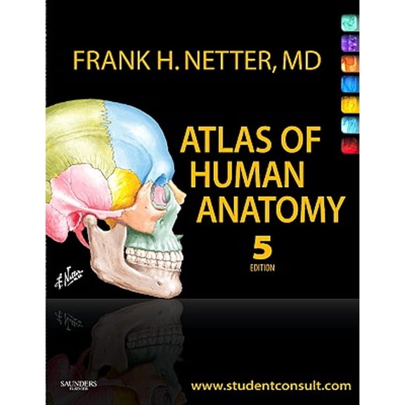 Pre-Owned Atlas of Human Anatomy (Paperback) by Frank H Netter
