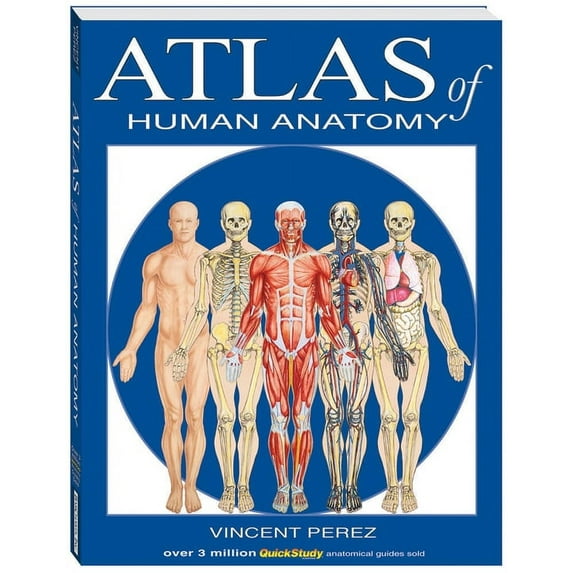 Atlas of Human Anatomy, (Paperback)