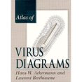 thumbnail image 1 of Pre-Owned Atlas of Virus Diagrams (Hardcover) by Hans-Wolfgang Ackermann, Laurent Berthiaume, 1 of 1