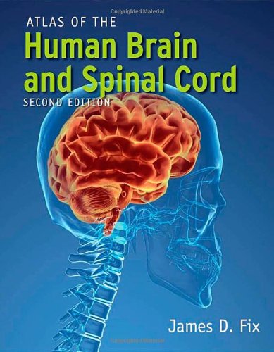 Pre-Owned Atlas of the Human Brain and Spinal Cord Paperback - Walmart.com