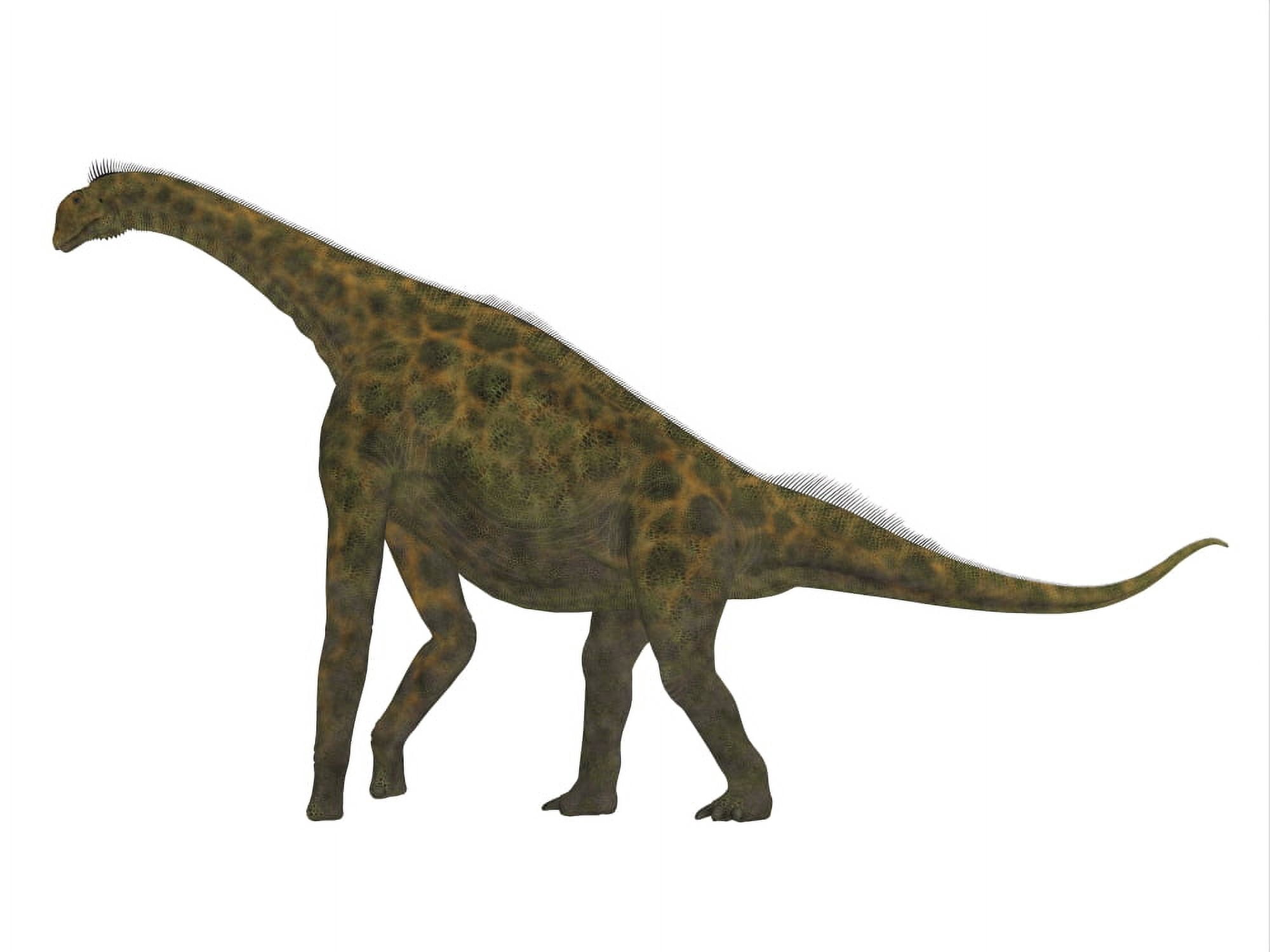 Atlasaurus dinosaur side view Canvas Art - Corey FordStocktrek Images (32 x 24)