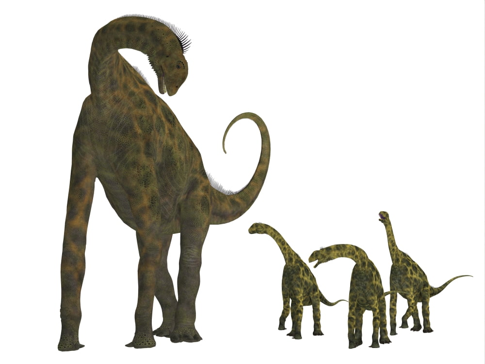 Atlasaurus with offspring Canvas Art - Corey FordStocktrek Images (32 x 24)
