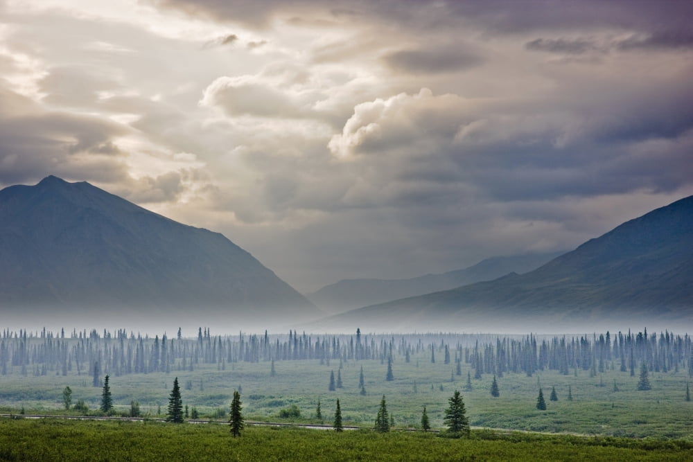 Atmospheric Scenic Of Broad Pass And Boreal Forest With Smoke From Wildfires Settling In Valley Southcentral Alaska Canvas Art - Kevin Smith Design Pics (19 x 12)