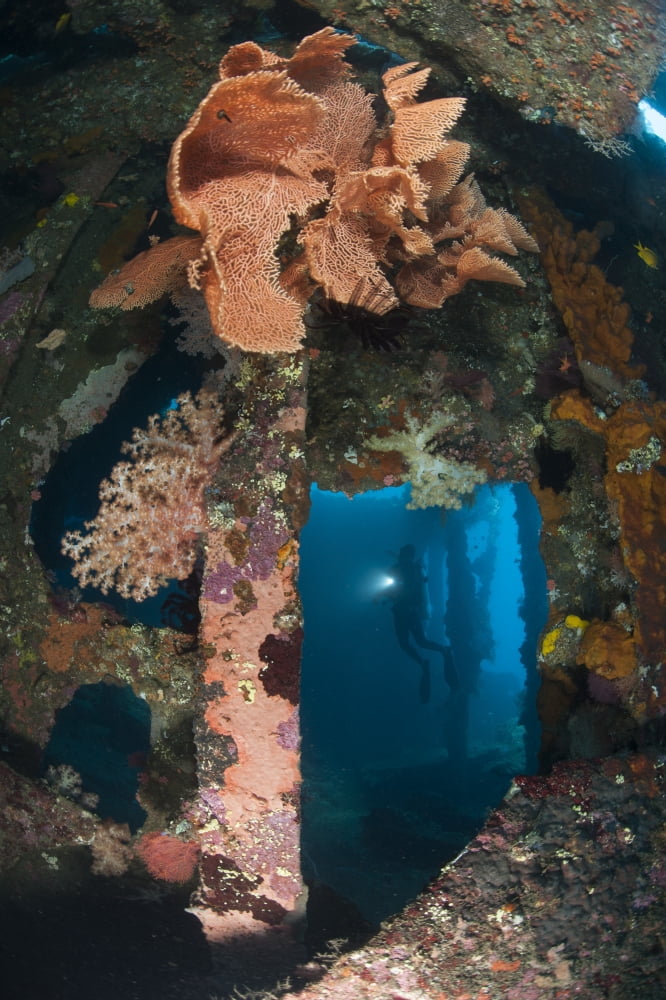 Atmospheric scene from the Liberty Wreck Tulamben Bali Indonesia Canvas Art - Steve JonesStocktrek Images (23 x 35)