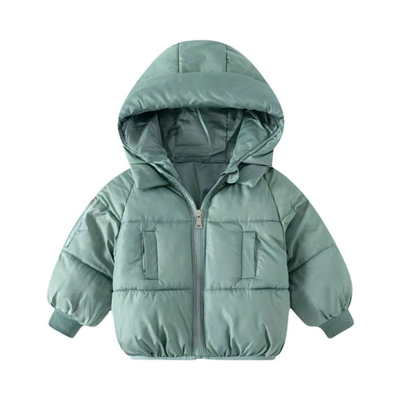 Atogsazn Baby Girls Fuzzy Sherpa Winter Coat Kids Fleece Plush Long Sleeve Hooded Jackets Warm Clothes Fashion 07-Green 2-3 Years