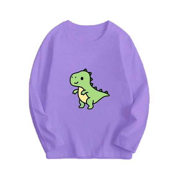 Atogsazn Children's Boy Girl Cotton Sweatshirt Kids Dinosaur Printed Pullover Sweatshirt Spring Fall Clothes Fashion 02-Purple 14-15 Years