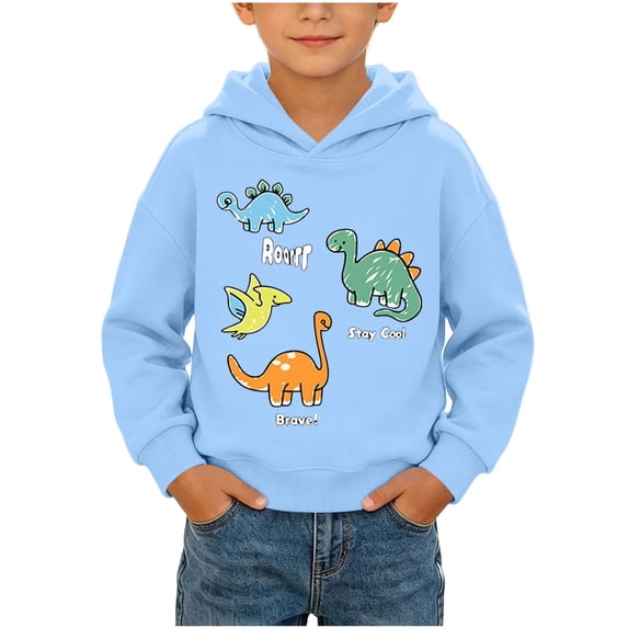 Atogsazn Toddler Baby Boys Fleece Hoodies Kids Dinosaur Print Long Sleeve Hooded Sweatshirt Fall Winter Tops Clothes Blue 2-3 Years Fashion