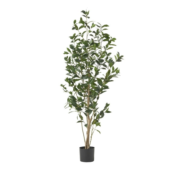 Atoka 5.5' x 2' Artificial Tabletop Laurel Tree, Green