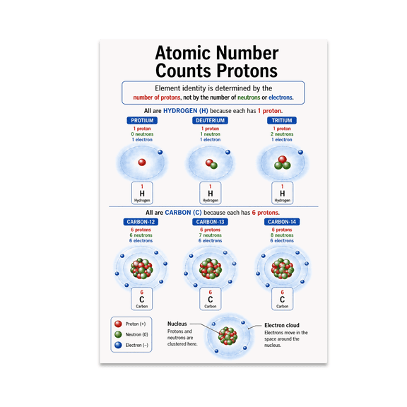 Atomic Number Counts Protons Educational Reference - Science Classroom - 13x19 Poster Print