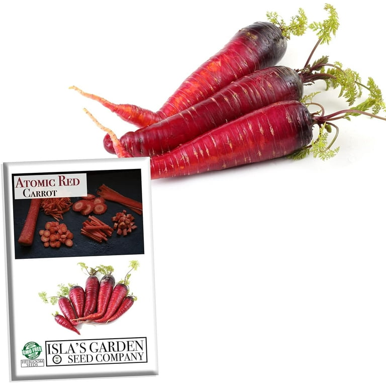 【気質アップ】 Carrots, Red Atomic 250 GMO Non Packet, Per Seeds Heirloom バッグ