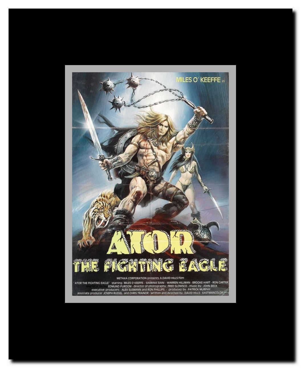 Ator the Fighting Eagle Framed Movie Poster