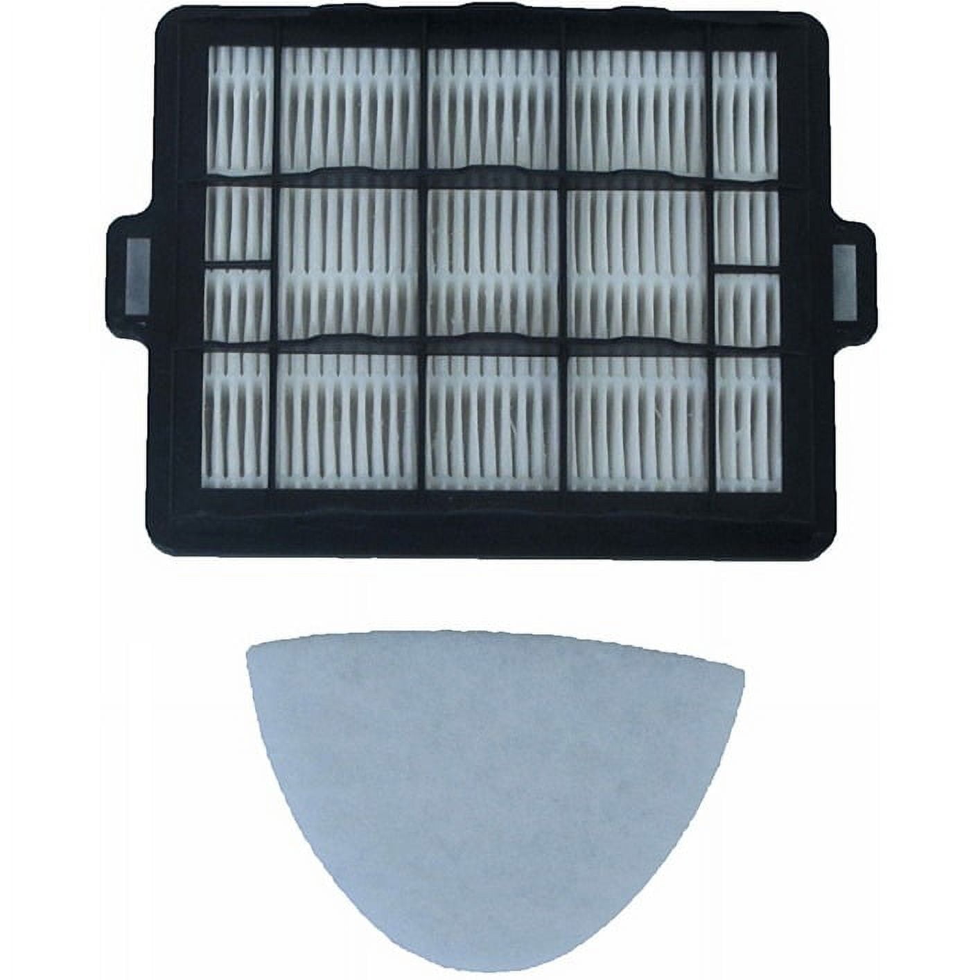 Compact Black and White HEPA Premotor and Exhaust Filter Set