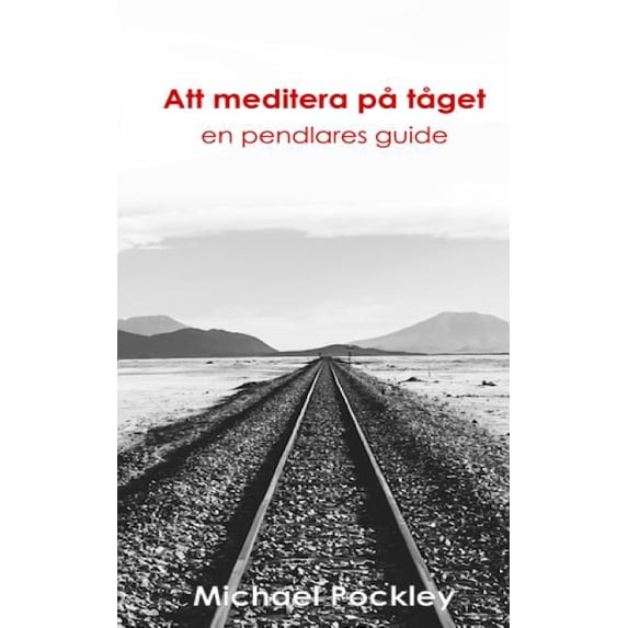 Att meditera p� t�get: en pendlares guide